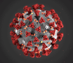Coronavirus effects on sex in Vienna