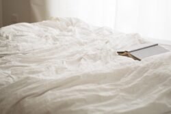 Increase in the number of illegally operated apartments in Vienna
